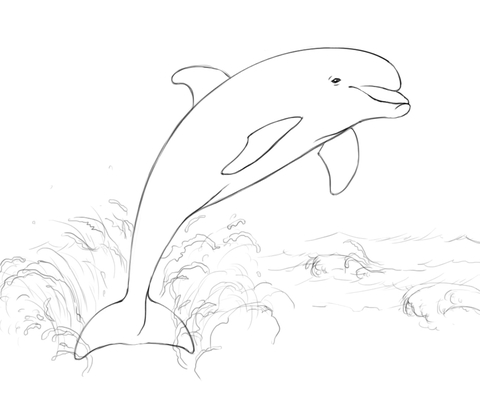 Dolphin Jumping Coloring Page